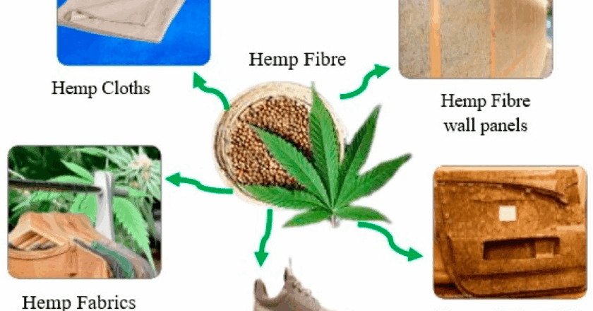 Від форми до пороху