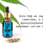 CBD олія: як вона створюється та що важливо знати перед використанням